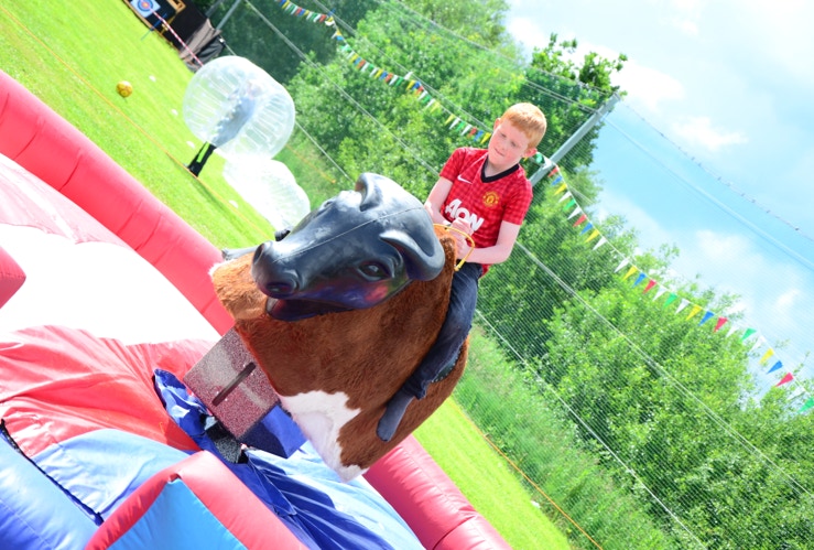 Rodeo bull rental Northern Ireland